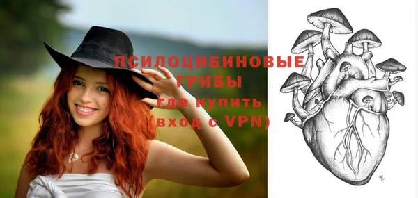 PSILOCYBIN Алексеевка