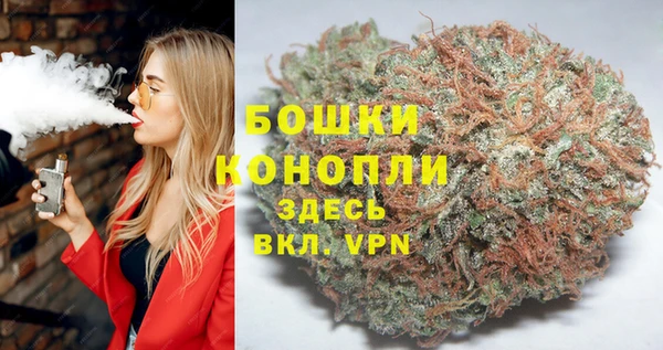 PSILOCYBIN Алексеевка