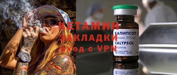 крисы Алзамай
