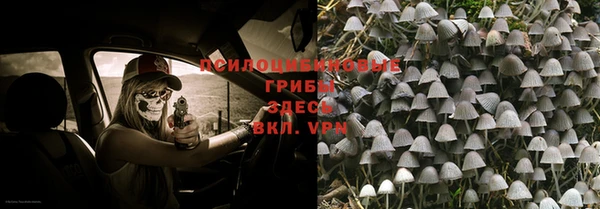 скорость Алексин