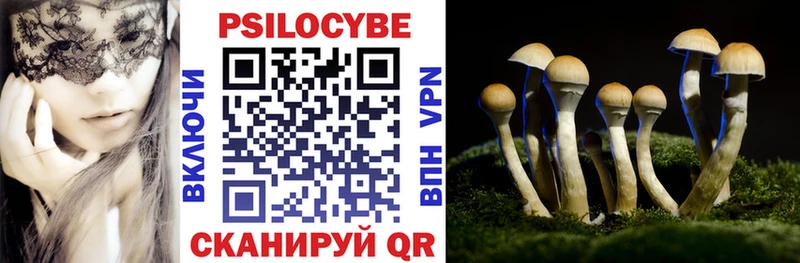 наркотики  Дыгулыбгей  Псилоцибиновые грибы Psilocybe 